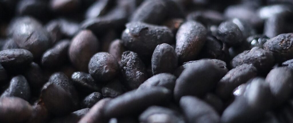 Insikwate_01
